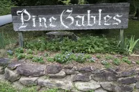 Owl's Nest Cabin. Romantic Cabin on beautiful Lake Lure!