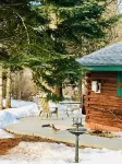 Cozy cabin on the bank of Bear Creek with a hot tub to relax in!