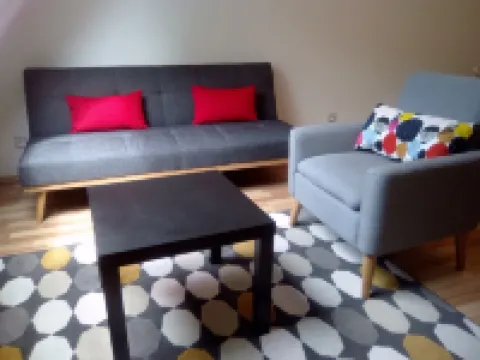 Beautiful apartment between vineyards and Obernai ramparts