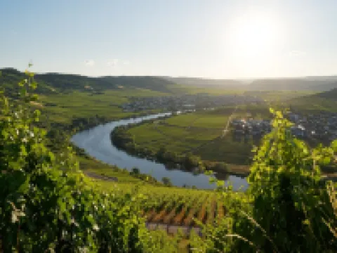 Ferienwohnung "laurentiusblick" mit Panoramablick in den Weinbergen von Leiwen Hoteles en Leiwen