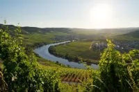 Ferienwohnung "laurentiusblick" mit Panoramablick in den Weinbergen von Leiwen