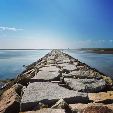 Beautifully Renovated West End House w/  Spectacular Garden & Great location!