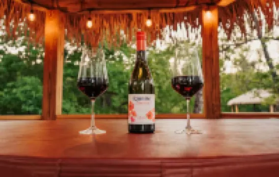 Peacock/River Yurt Village/Couples Yurt/Hot Tub/Close to Town!