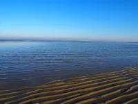 GÎTE au GARDIN 'Les Phormiums', Sea, Nature, Historic Landing Sites Hotels in Turqueville