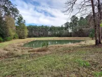 Great get a way--8 acres and pond, firepit peace and quiet - WiFi