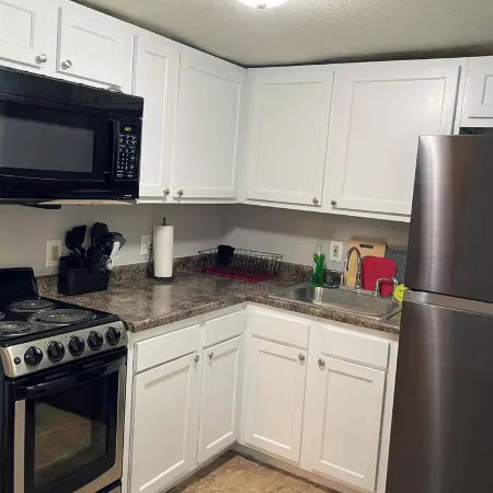 Cozy 1 Bedroom Located Downtown/Close to Soaring Eagle/CMU