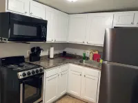 Cozy 1 Bedroom Located Downtown/Close to Soaring Eagle/CMU