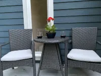 Cozy cottage 2 min drive to Downtown Black Mountain, 20 min drive to Asheville