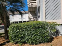 2022 Renovated 2-bedroom cozy, lovely condo.