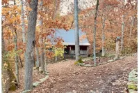 Peaceful, Secluded Cabin near Beaver Lake