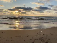 In the Shade, By the Beach -Welcome Home