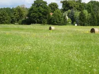 Exclusive vacation apartment No.1