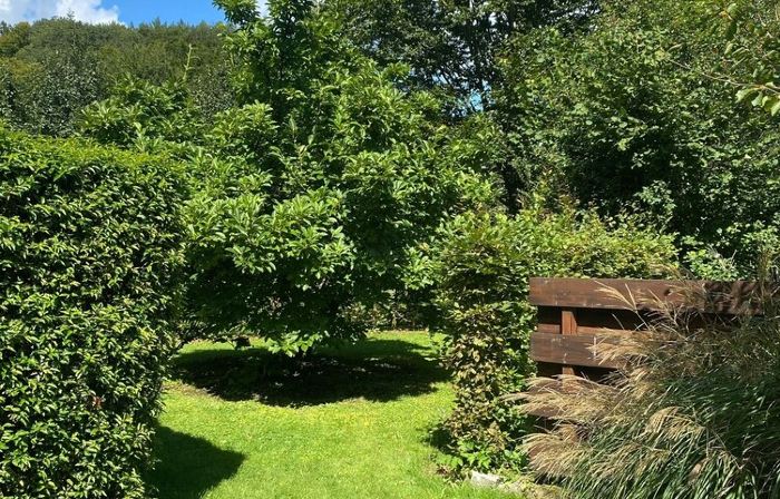Historischer Schleifkotten in Romantischem Flusstal