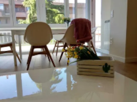 Weeping Cedar. Comfort. Downtown.