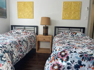 La Jolla Shores Modern Flat