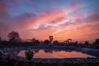 Mud Haven Farm Hotels in Jhajjar