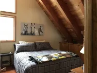 2 family +; dog friendly retreat; HOT TUB; 4bed, 2 bath; well stocked kitchen.