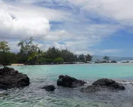 Large comfy house big enough for 2 families next to ocean on Kaloli point