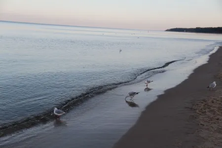 Bright renovated apartment 350m to the beach