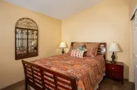 Exclusive Tucson Omni