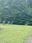 LAKE CUMBERLAND Cozy retreat, close to Cumberland Point Ramp & Conley Bottom!