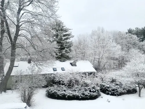 Fun Filmmaker's Bungalow wPool & Pro Screening Room