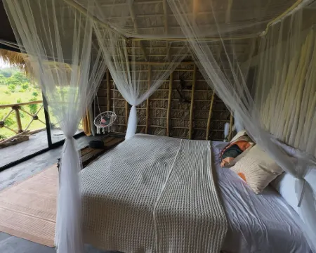 Dominican Jungle Resort Hotels in El Limon