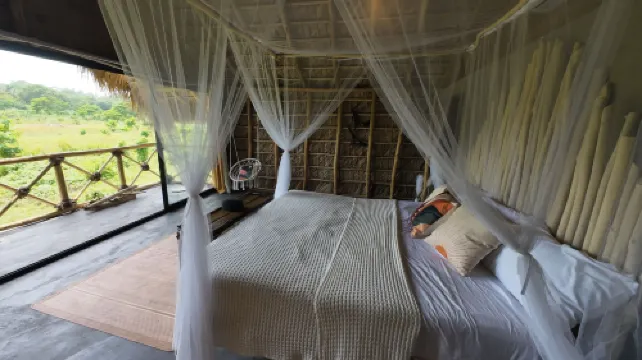 Dominican Jungle Resort