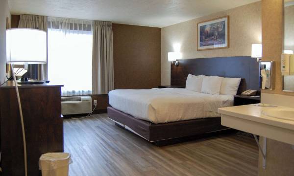 Quality Inn Homestead Park