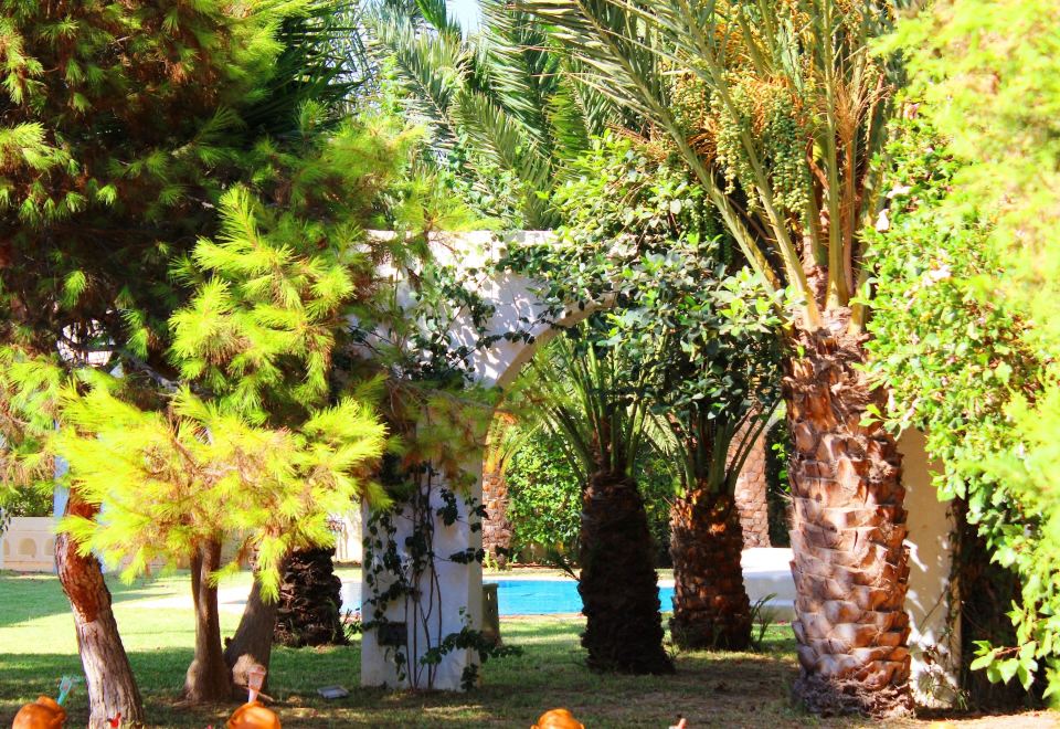 Hotel Gorgeous Villa Sfax, Exterior, Garden