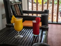 Hippocampus Beach Resort - bar
