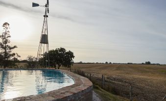 Hestia at San Antonio de Areco