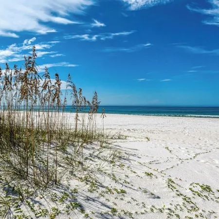 Gulf Front in Seagrove ~ Amazing Views