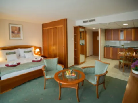 Palace Hotel Hévíz Hotels in Heviz