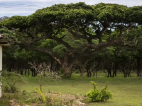 Rain Farm Game Lodge Hotels in iLembe