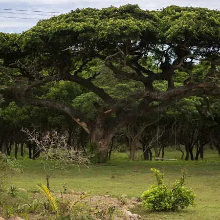 Rain Farm Game Lodge