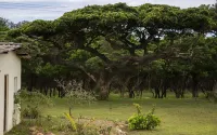 Rain Farm Game Lodge