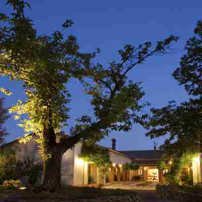 Finca la Fronda Hotel Exterior