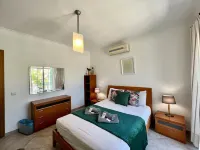 Tavira Palm Tree by Homing