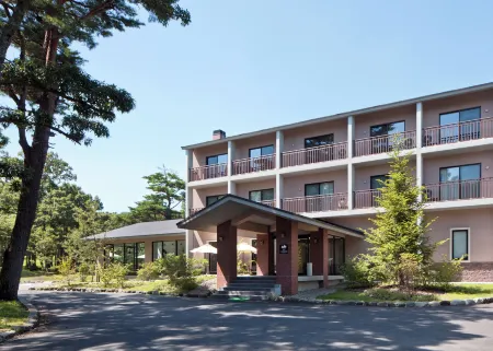 Auberge Cosmos Отели рядом с достопримечательностью «Kuju Forest Park Skiing Grounds»