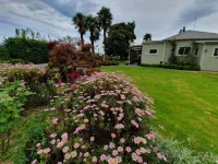 U 스튜디오 매스터턴 (구 콘월 파크 모텔)