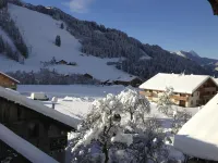 Charming apartment 100m from the slopes
