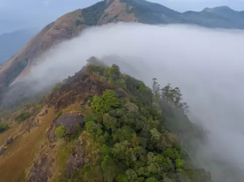 Nature Zone Jungle Resort- Experience the Wilderness & Adventure