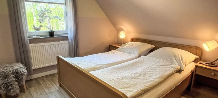 Möwennest + Muschelnest Hotels in Trassenheide