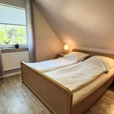 Möwennest + Muschelnest