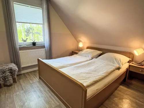 Möwennest + Muschelnest