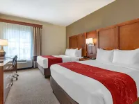 Comfort Suites Newark - Harrison Hotels in Newark