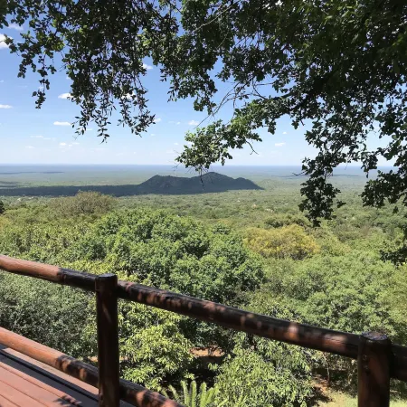 Amafu Forest Lodge