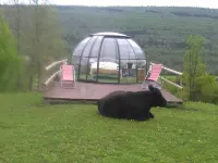 Ferme des Baillards Hotels in Ariège