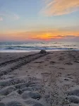 Tuckaway Shores Resort - Sea View